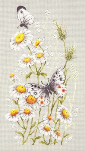 (image for) Summer Glade